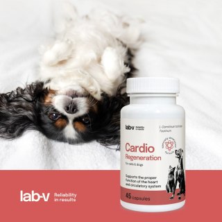 Lab-v Cardio Regeneration Wsparcie Prawidłowego Funkcjonowania Pracy Serca I Układu Krążenia Dla Psów I Kotów 45 Kapsułek