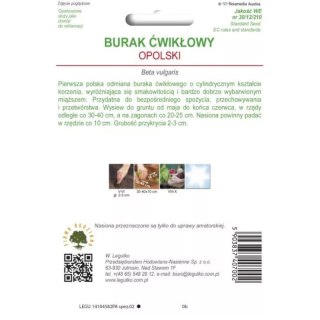 Burak ćwikłowy 'Opolski' - korzeń cylindryczny