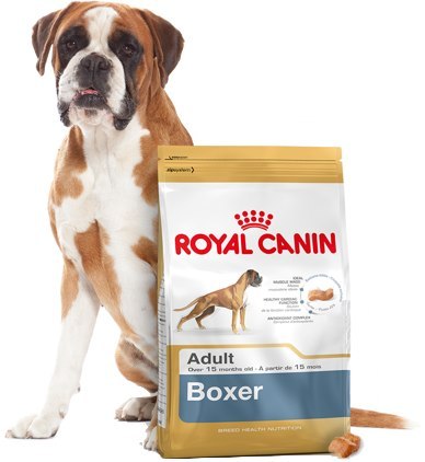 ROYAL CANIN Boxer Adult 12kg