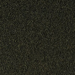 Tropical Super Spirulina Forte Mini Granulat 250ml