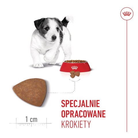 ROYAL CANIN Mini Puppy 800g