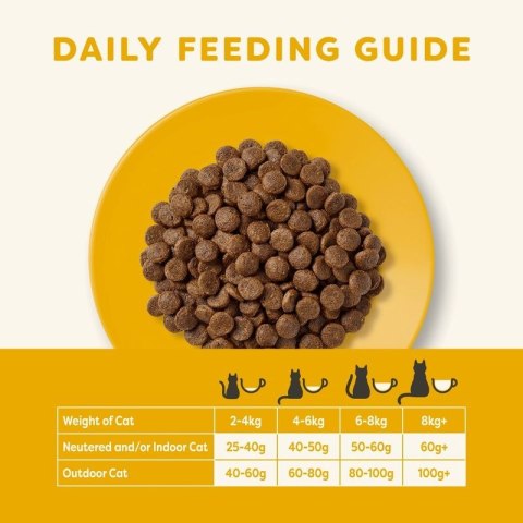 APPLAWS Complete Dry Adult Chicken With Salmon 400g